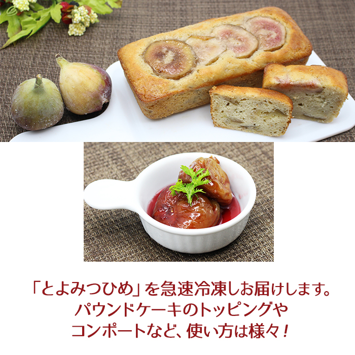 【福岡県産】冷凍とよみつひめ（イチジク）　２ｋｇ（１ｋｇ×２） 2L8-S