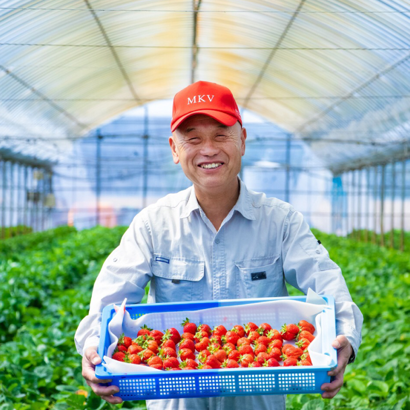 福岡県産「あまおう」1400ｇ（280ｇ×5ｐ）【数量限定】 2Z1