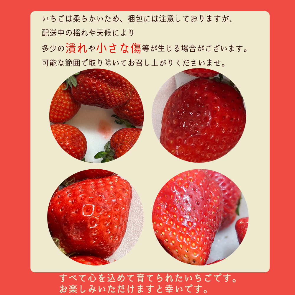 福岡県産あまおう【280g×2パック】 2Z5-S