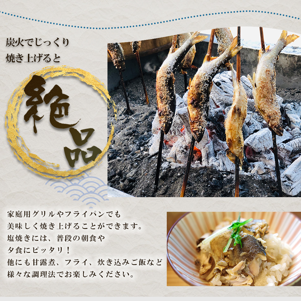 冷凍鮎　約500g 3E5