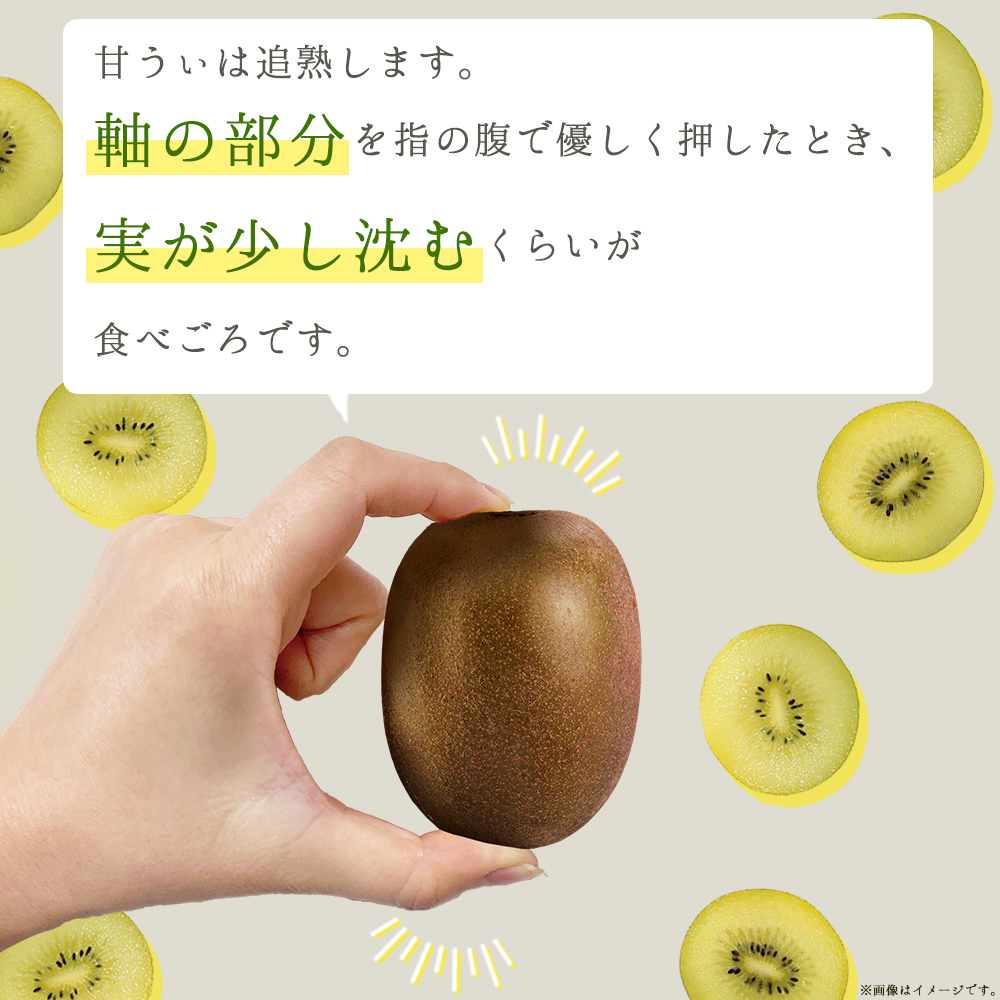 福岡県産 キウイ 甘うぃ 約1.4kg (9玉) 3W25