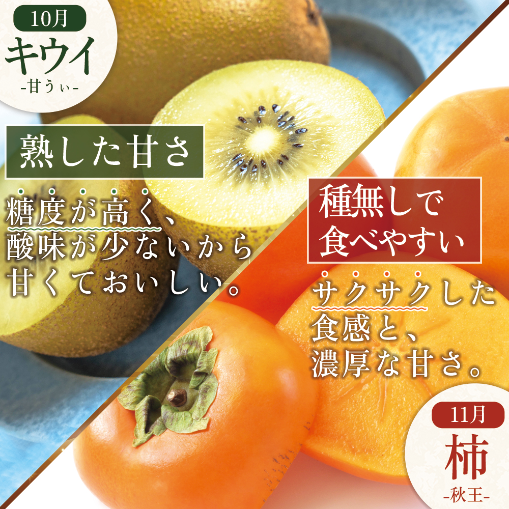 福岡県認定 季節の果実セレクション【定期便 全4回】 3W26
