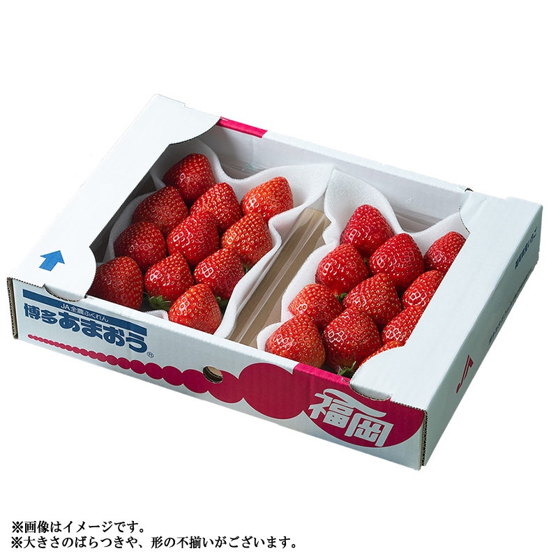 【冬】福岡産あまおう2パック 4A1