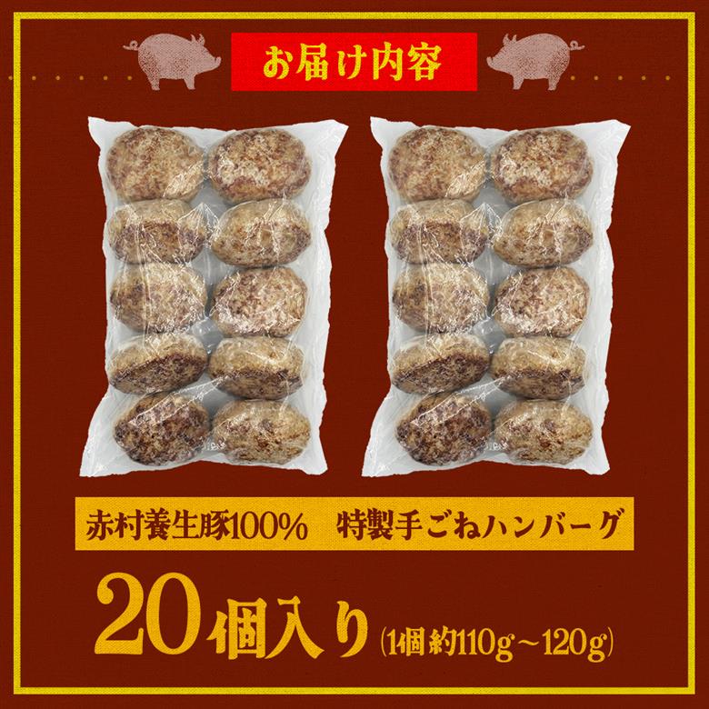 赤村養生館 特製手ごねハンバーグ 20個 B9