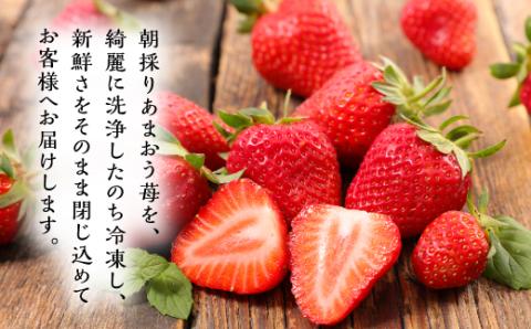 【訳あり】小分けで便利な辛子明太子 小切1ｋｇ（100ｇ×10ｐ）＆冷凍あまおうセット800ｇ Y32