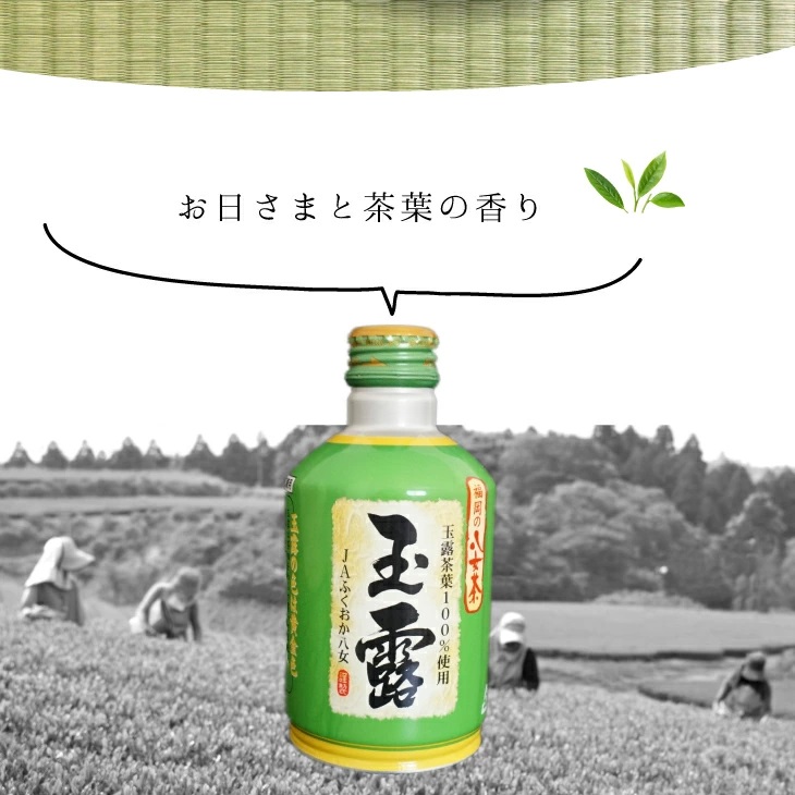 福岡の八女茶　玉露ボトル缶（２４缶） 2K2