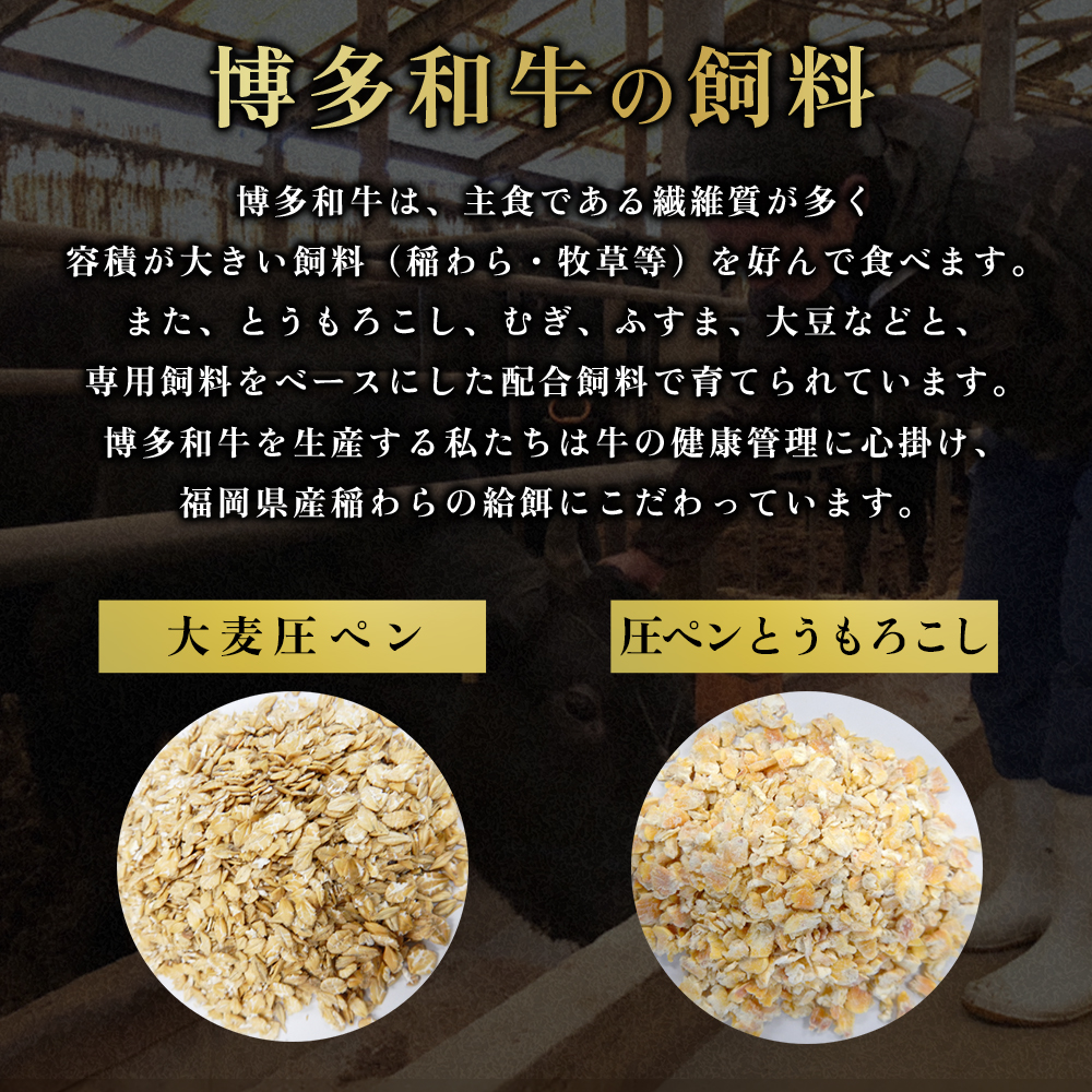 【福岡県産】博多和牛切り落とし 1.6kg 2L6