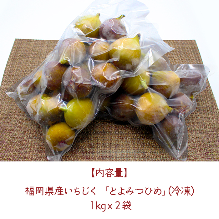 【福岡県産】冷凍とよみつひめ（イチジク）　２ｋｇ（１ｋｇ×２） 2L8-S