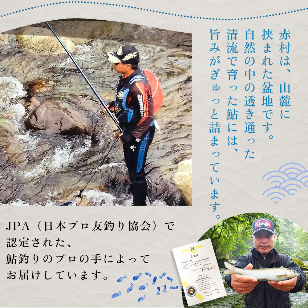 冷凍鮎　約500g 3E5