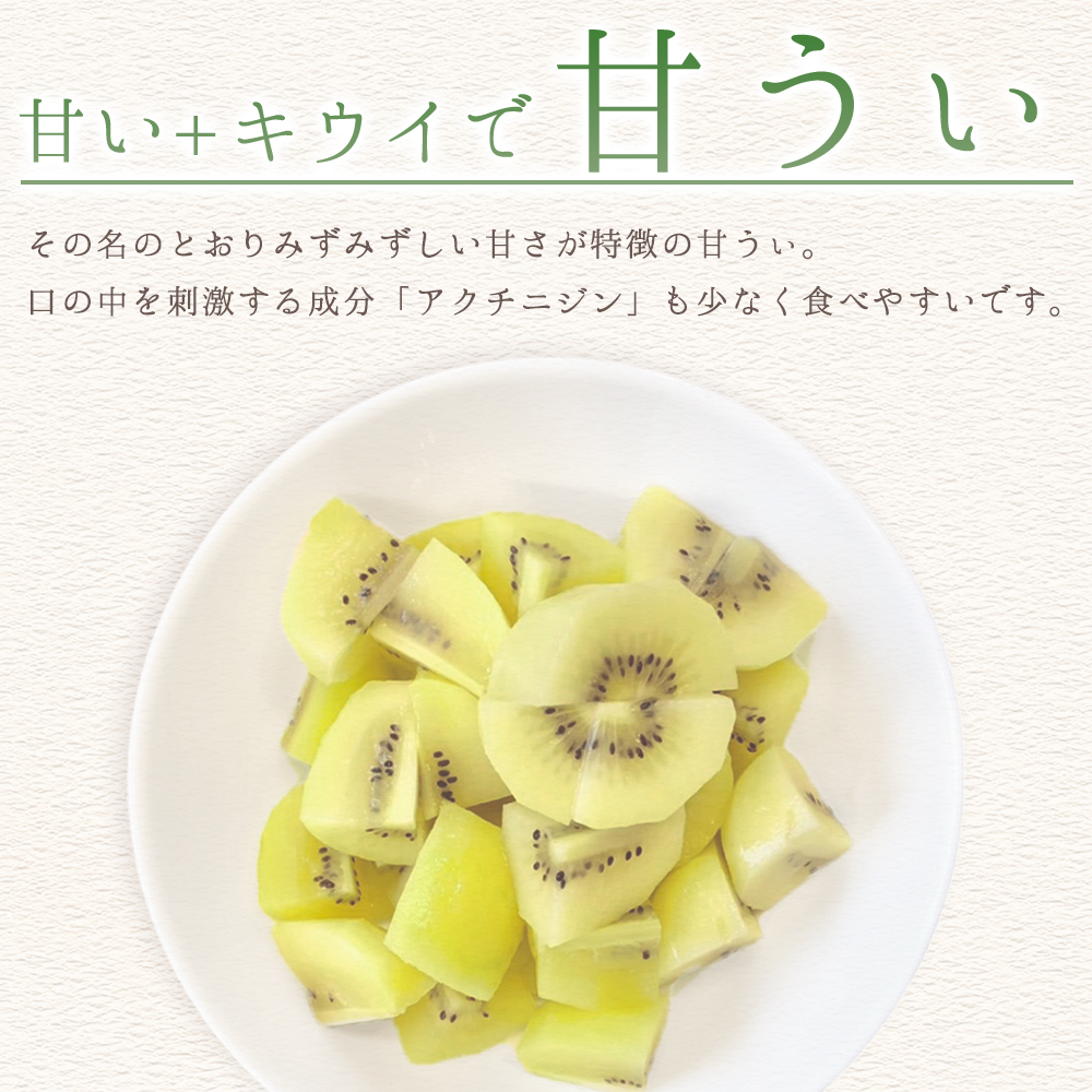 福岡県産 キウイ 甘うぃ 約1.4kg (9玉) 3W25