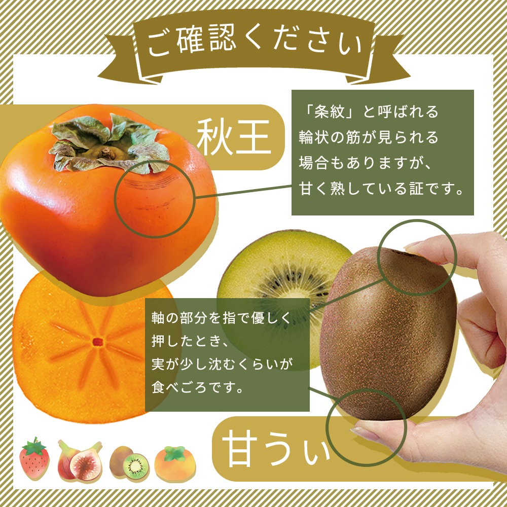 福岡県認定 季節の果実セレクション【定期便 全4回】 3W26