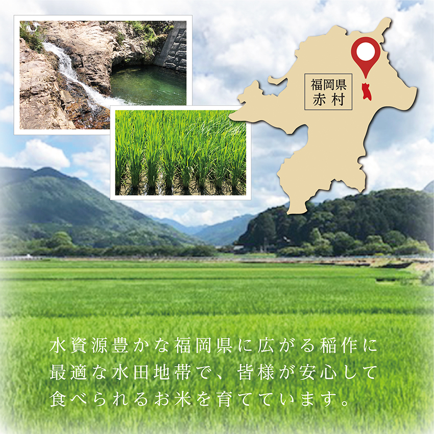 令和6年産【緊急支援品】【数量限定】 訳あり 福岡県 ふくきらり 5kg (5kg×1袋) 3X6