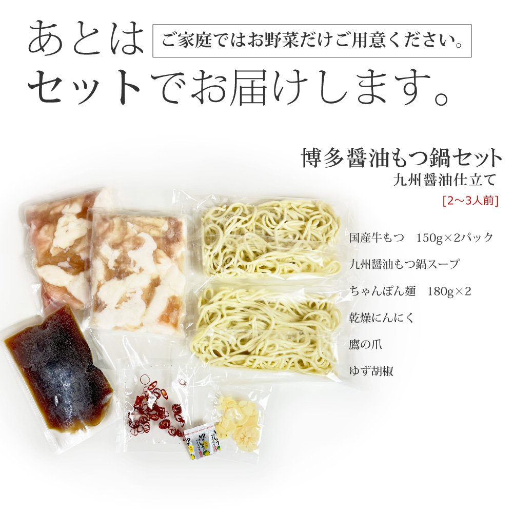 博多もつ鍋セット(九州醤油仕立て) 2～3人前 国産牛もつ300g 4K16