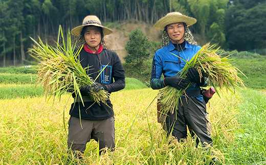 【新米】赤村産棚田米こだわりの夢つくし（精米）５ｋｇ J4-S