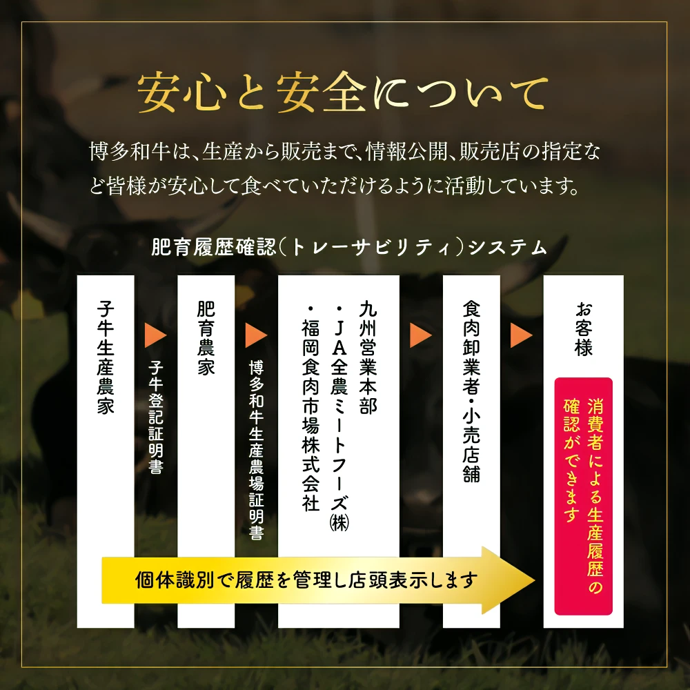 博多和牛ヒレステーキ750g（150ｇ×5枚） Y57