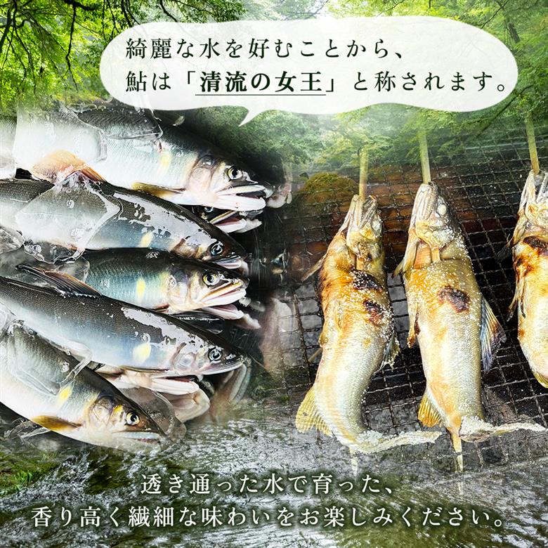 冷凍鮎　約500g 3E5