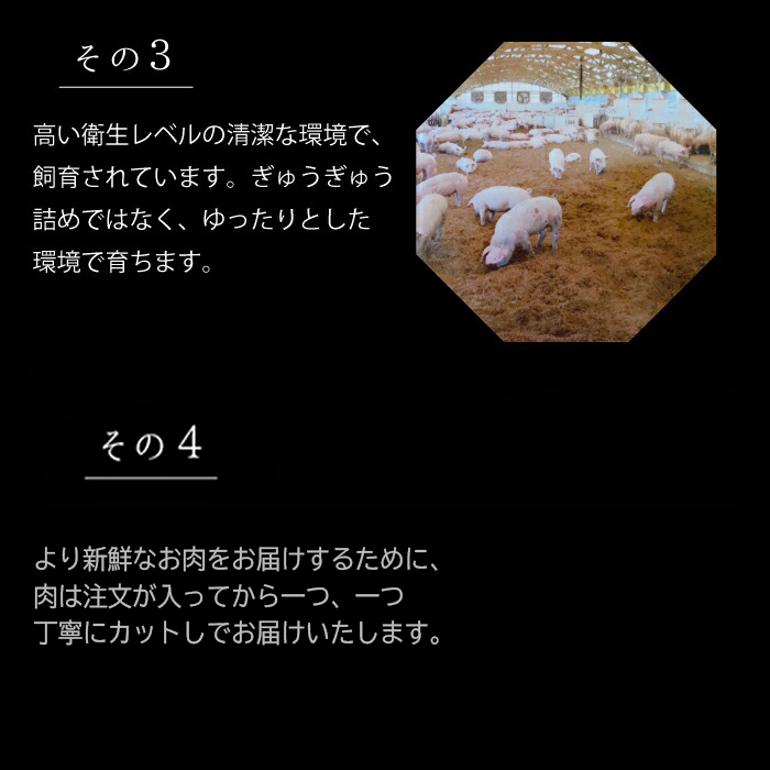 赤村養生館 ポークメンチカツ 12個 B21