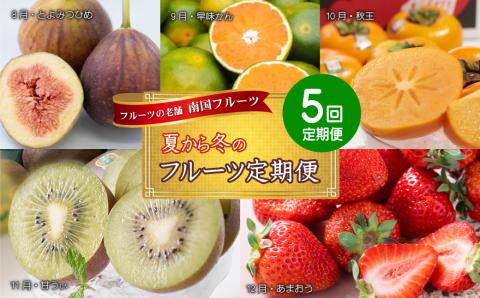 フルーツの老舗“南国フルーツ”の夏から冬のフルーツ定期便【全5回】 4A28