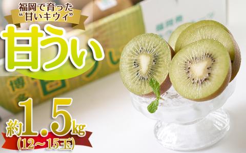 福岡限定!ブランドキウイ「甘うぃ(あまうぃ)」約1.5kg箱(12-15玉) 4A20