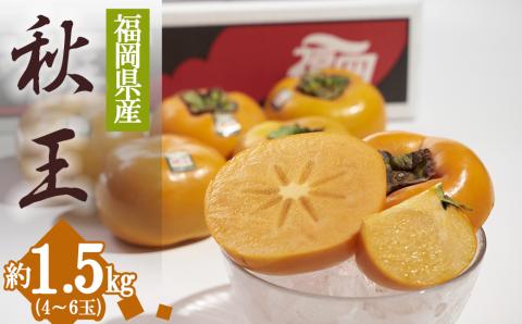 福岡限定!ブランド柿「秋王(あきおう)」約1.5kg(4-6玉) 4A18
