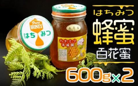 蜂蜜（百花蜜６００ｇ）２個セット K1