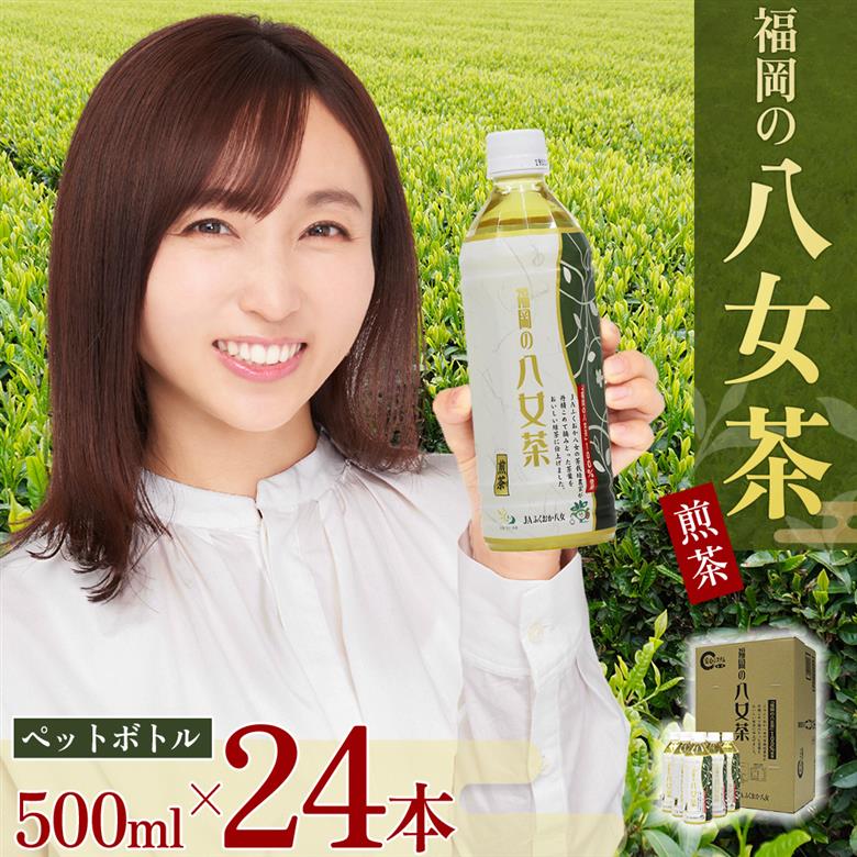 福岡の八女茶ペットボトル（５００ｍｌ×２４本入り） 2K1