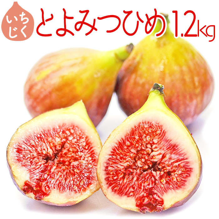 【福岡県産】とよみつひめ（イチジク）　１.２ｋｇ（３００ｇ×４Ｐ） 2L7