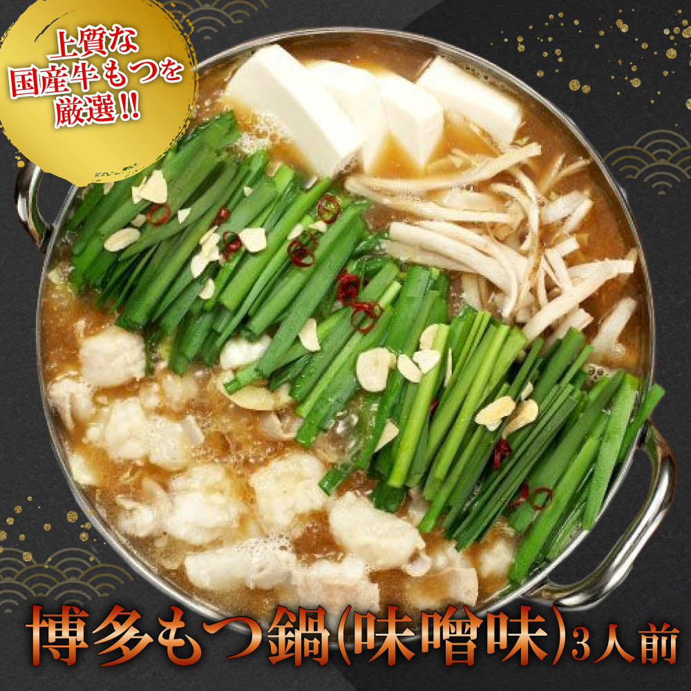 【ギフト用】博多もつ鍋（味噌味）３人前 2W11