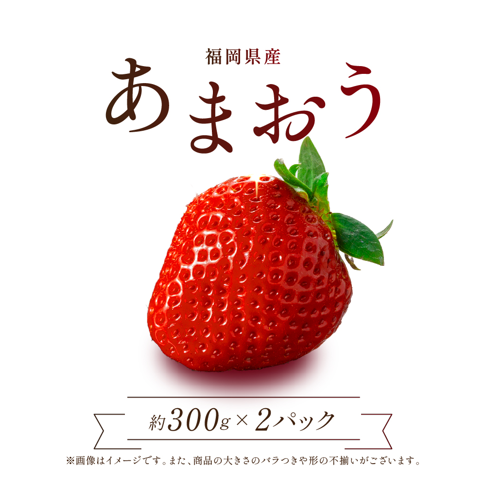 【赤村限定】福岡県ブランドいちご“あまおう”農家直送【300g×2パック】 2Z6
