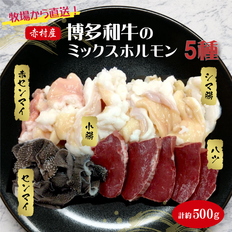 赤村産博多和牛のミックスホルモン5種500ｇ 3H1