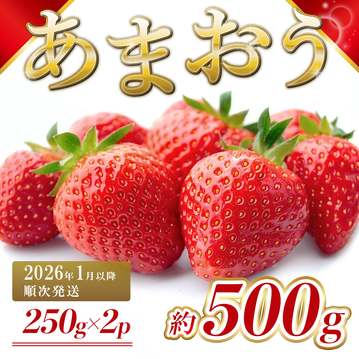 福岡県産 あまおう 約500g前後（約250g×2）1月～3月発送 3KC2
