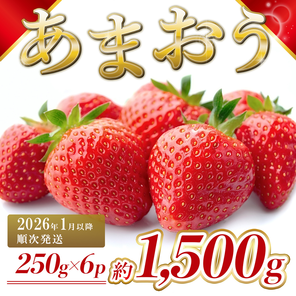 福岡県産 あまおう 約1500g前後（約250g×6）1月～3月発送 3KC3