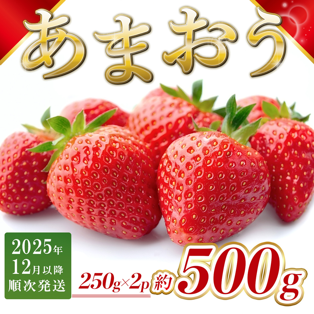 福岡県産 あまおう 約500g前後（約250g×2）12月以降発送 3KC4