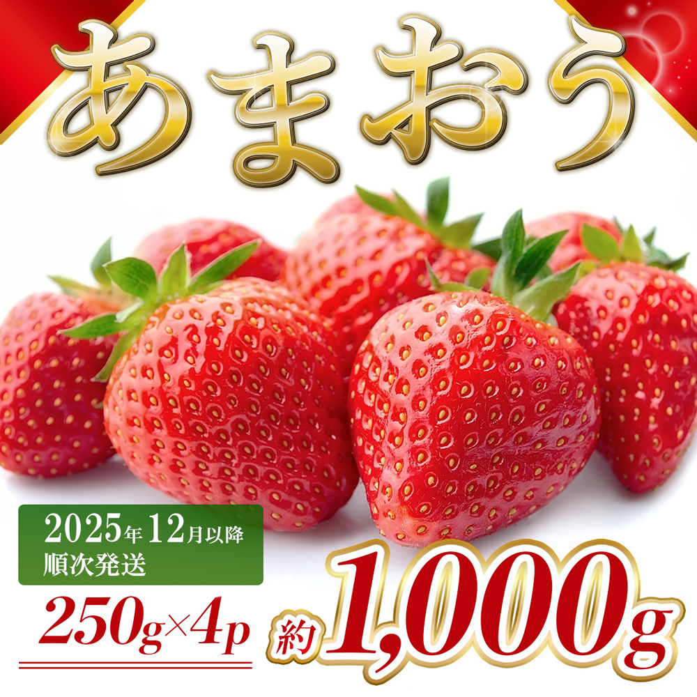 福岡県産 あまおう 約1000g前後（約250g×4）12月以降発送 3KC5