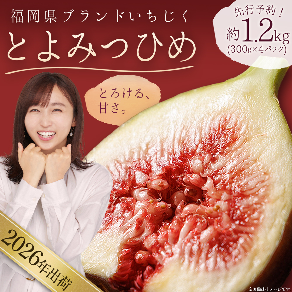 福岡県ブランド いちじく「とよみつひめ」約1.2ｋｇ(約300ｇ×4パック) 3W2
