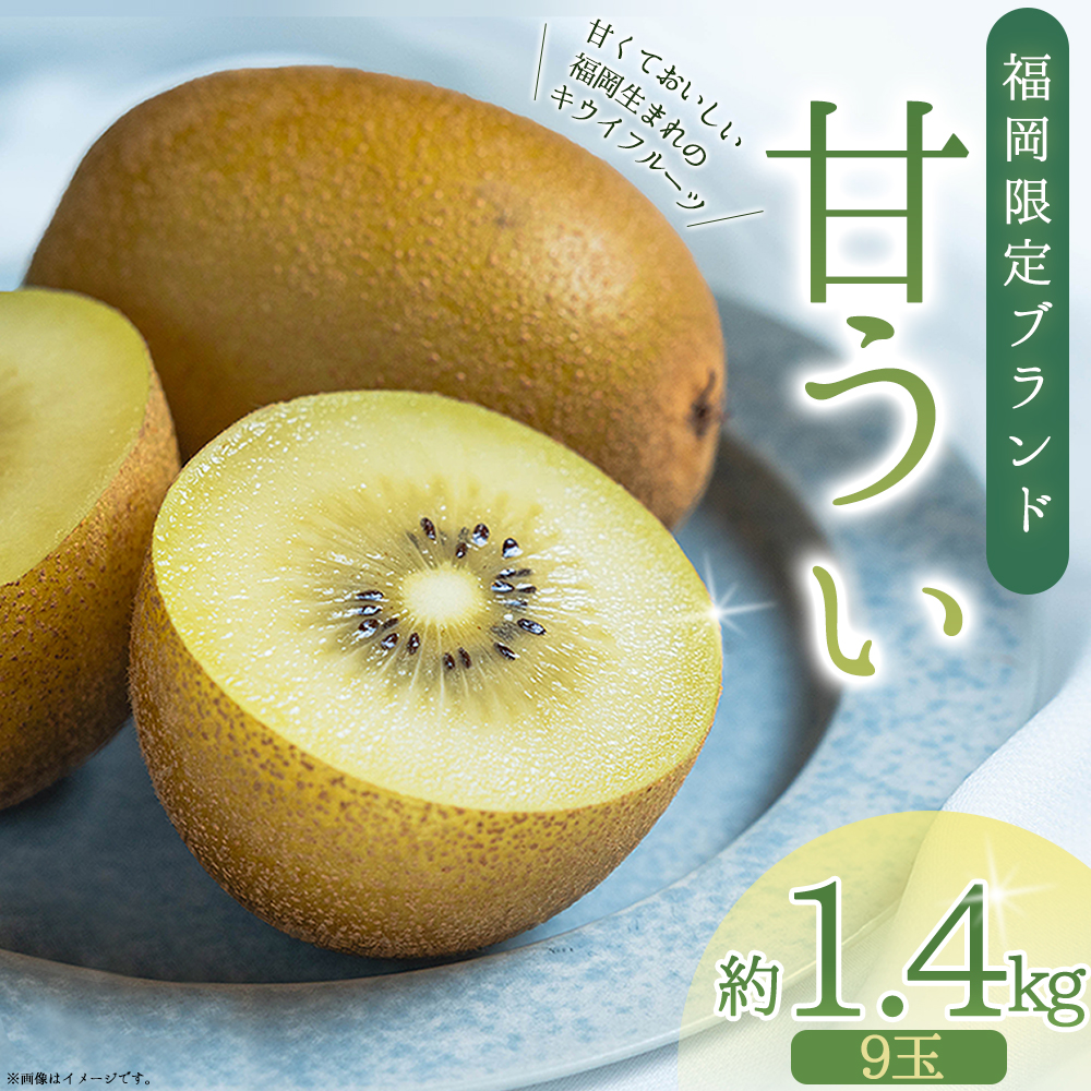 福岡県産 キウイ 甘うぃ 約1.4kg (9玉) 3W25