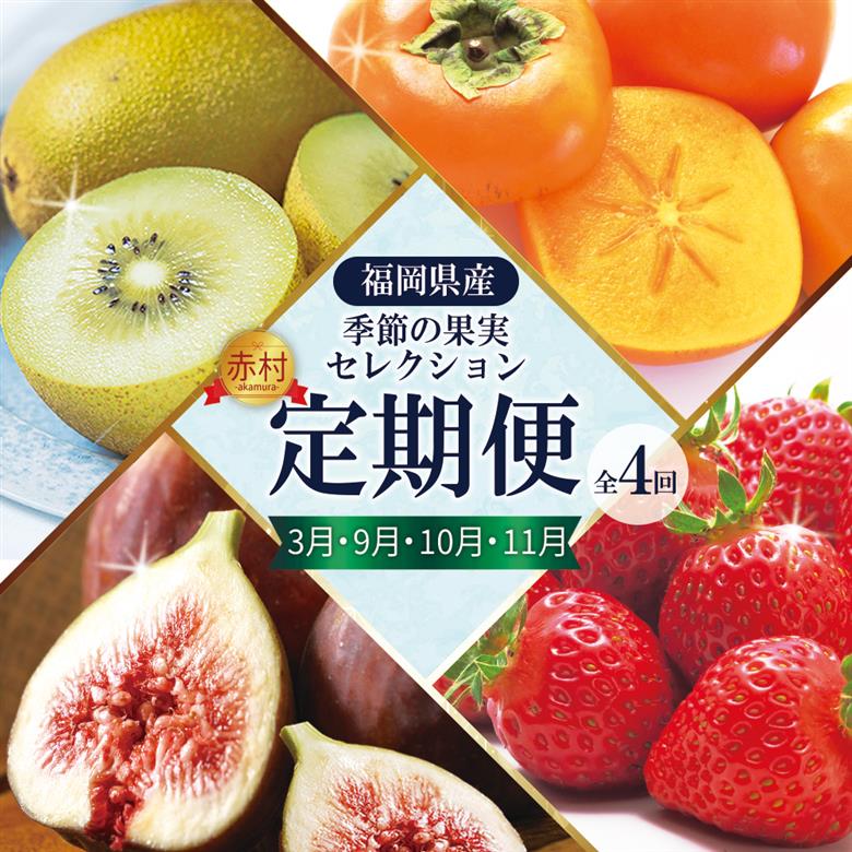 福岡県認定 季節の果実セレクション【定期便 全4回】 3W26