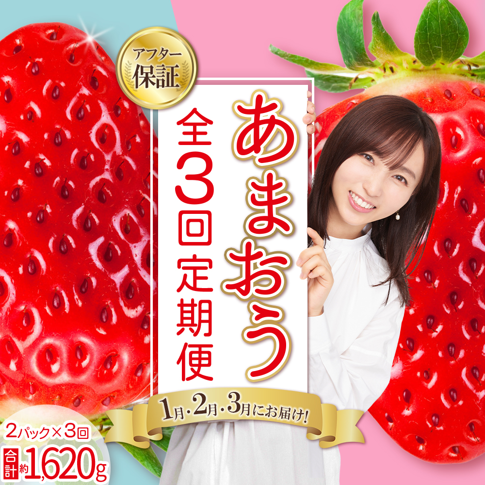 【 あまおう 定期便 全3回】福岡県産あまおう 約270g 前後 ×２パック いちご イチゴ あまおう 福岡限定 ブランド 果物 フルーツ ストロべリー スイーツ ケーキ パフェ スムージー ジャム 国産 福岡県 お取り寄せ 送料無料 3W27