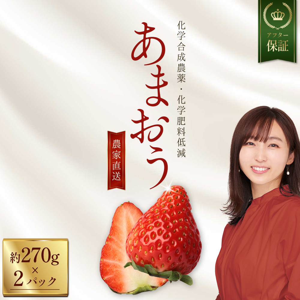 特別栽培 農家直送 特別栽培 あまおう 約270g前後×2パック【数量限定】 3W30