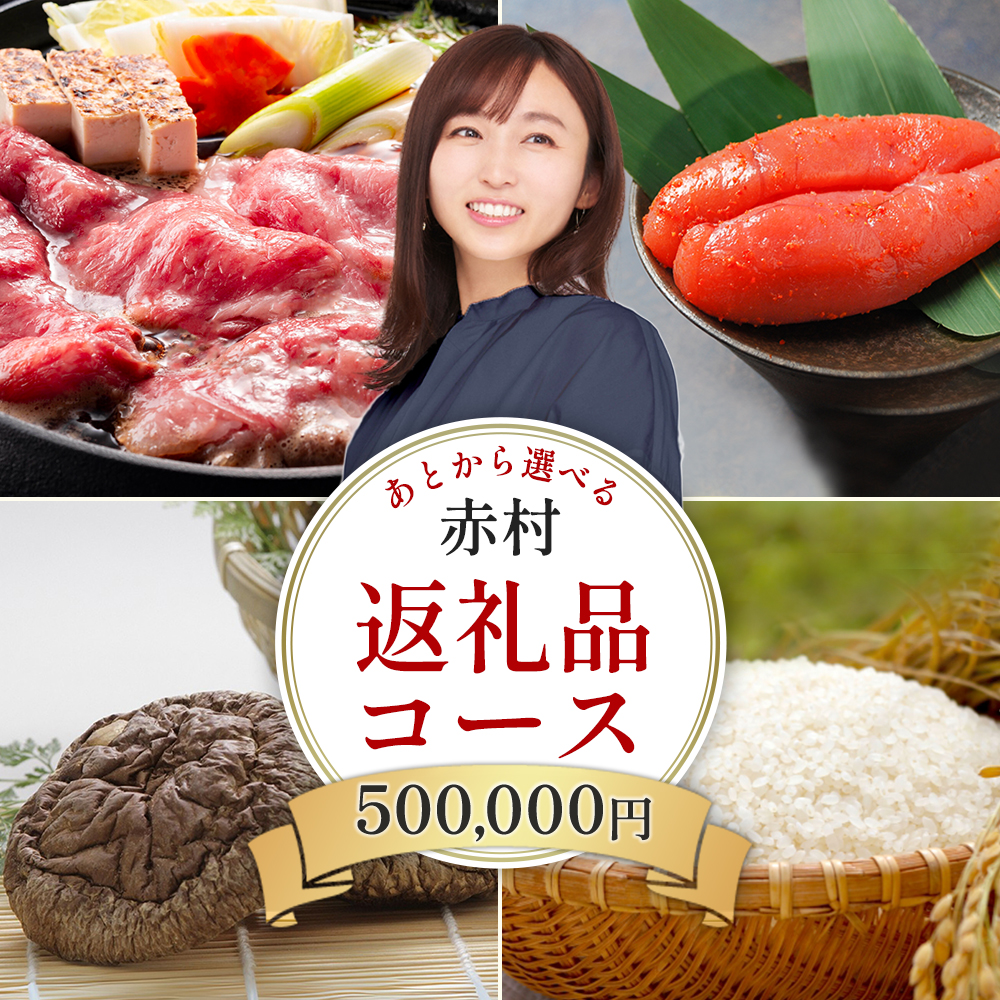 あとから選べる返礼品【５０万円コース】