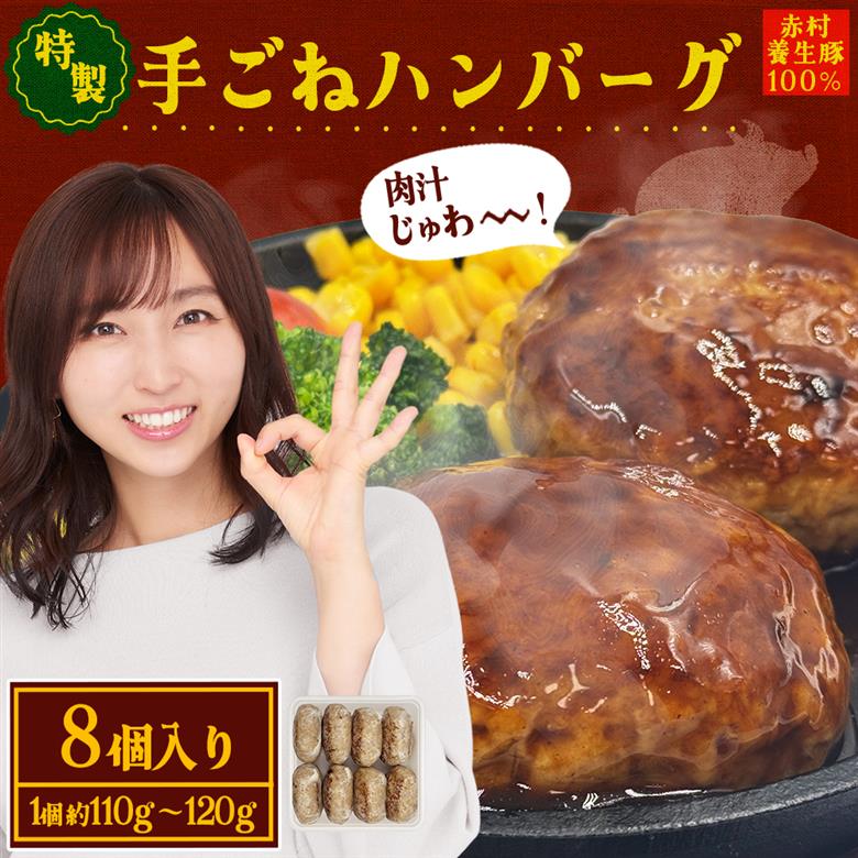 赤村養生館 特製手ごねハンバーグ 8個 B24