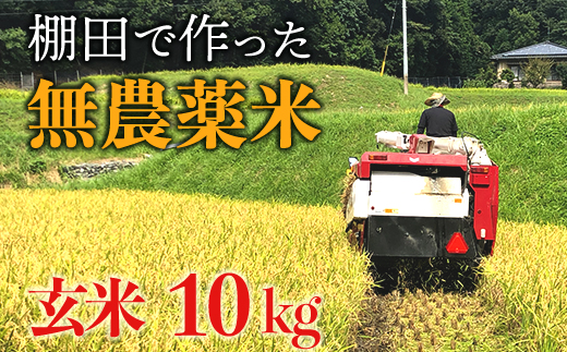 【新米】赤村産棚田米こだわりの夢つくし（玄米）１０ｋｇ J2-S