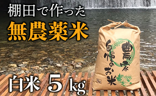 【新米】赤村産棚田米こだわりの夢つくし（精米）５ｋｇ J4-S