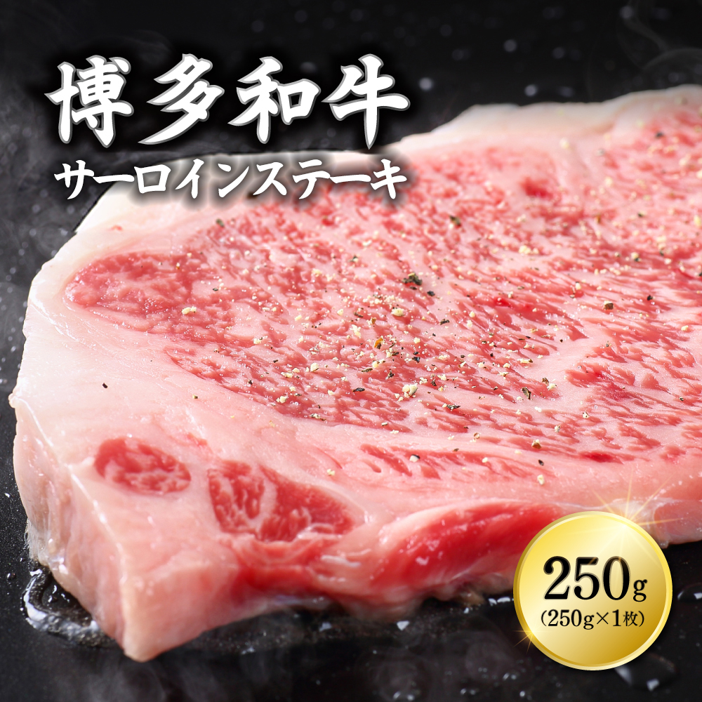 博多和牛サーロインステーキ　250ｇ×1枚 Y10-S