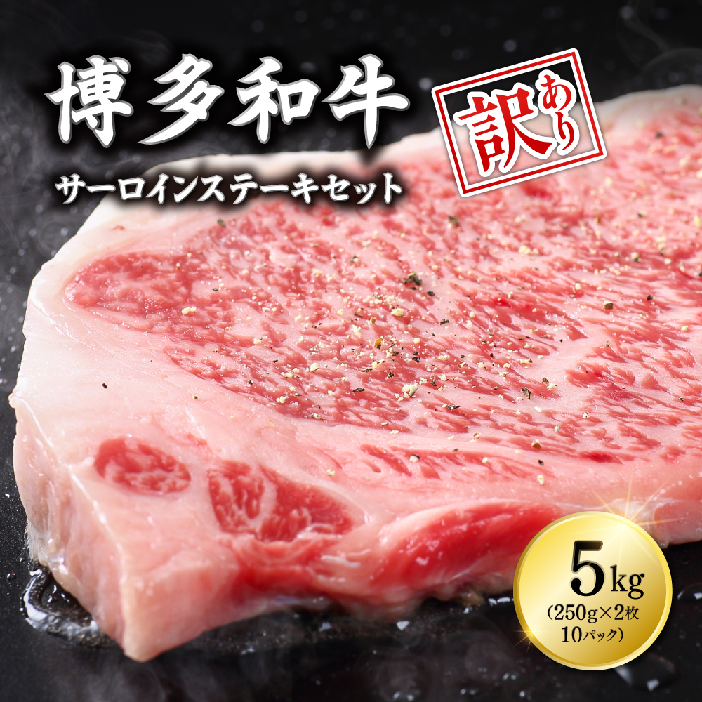 【訳あり】博多和牛サーロインステーキセット　5kg（250ｇ２枚入り×10ｐ） Y13-S