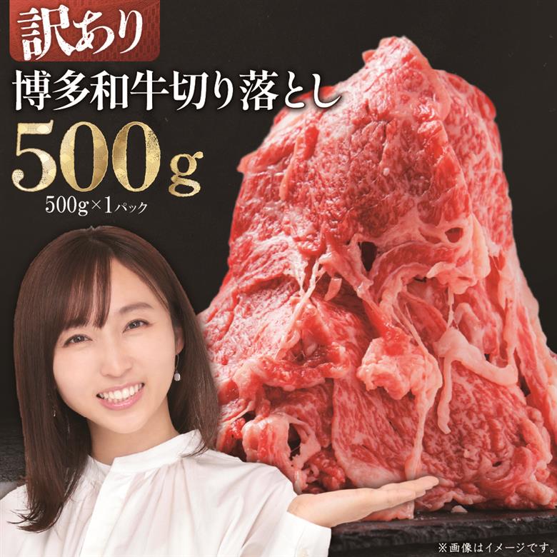 訳あり！【数量限定】博多和牛切り落とし500ｇ Y21-S2