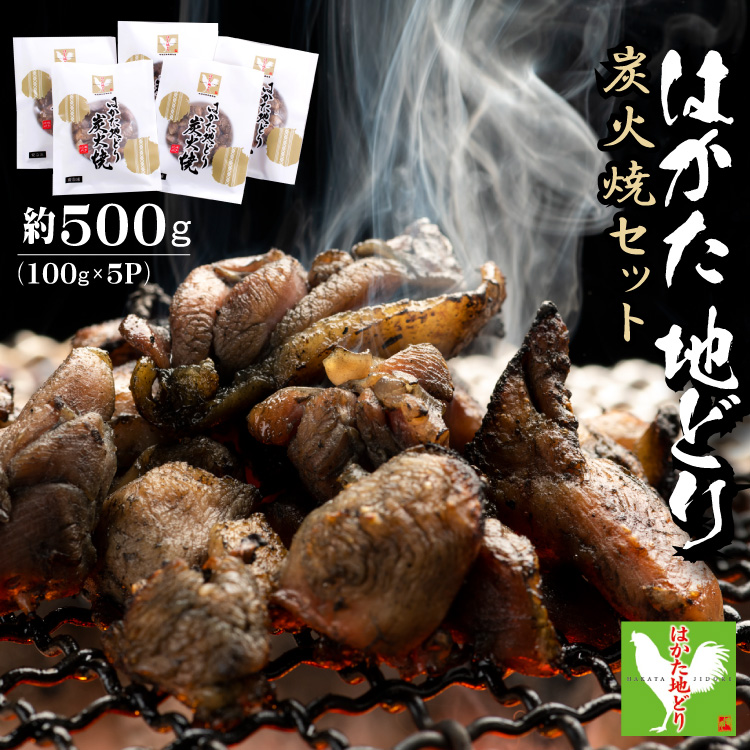 はかた地どり炭火焼セット500ｇ（100ｇ×5ｐ）Y42