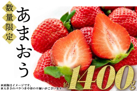 福岡県産「あまおう」1400g(280g×5p)[数量限定] 2Z1