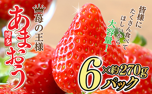 [福岡県産あまおう] 訳あり グランデ等級 約270g×6P 3W13