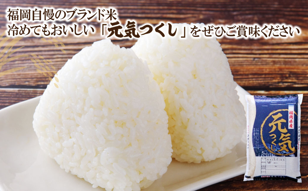 【新米】令和7年産 研ぐお米 元気つくし2kg